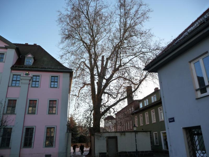 P1060353